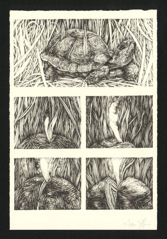 Marco Mazzoni - Journaux troublés, Planche originale