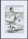 Jung - Couleur de peau : miel, Tome 2, Planche originale n°2