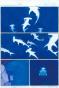 Gaetan Nocq - Octopolis, Planches originales n°194 et n°195