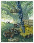 Christopher Dunn - Paisley Rabbit, Illustration originale,Tr